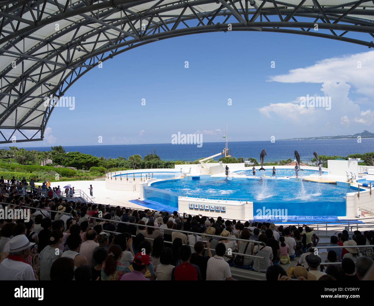 Spectacle de Dauphins à Churaumi Aquarium, Okinawa, Japon Banque D'Images