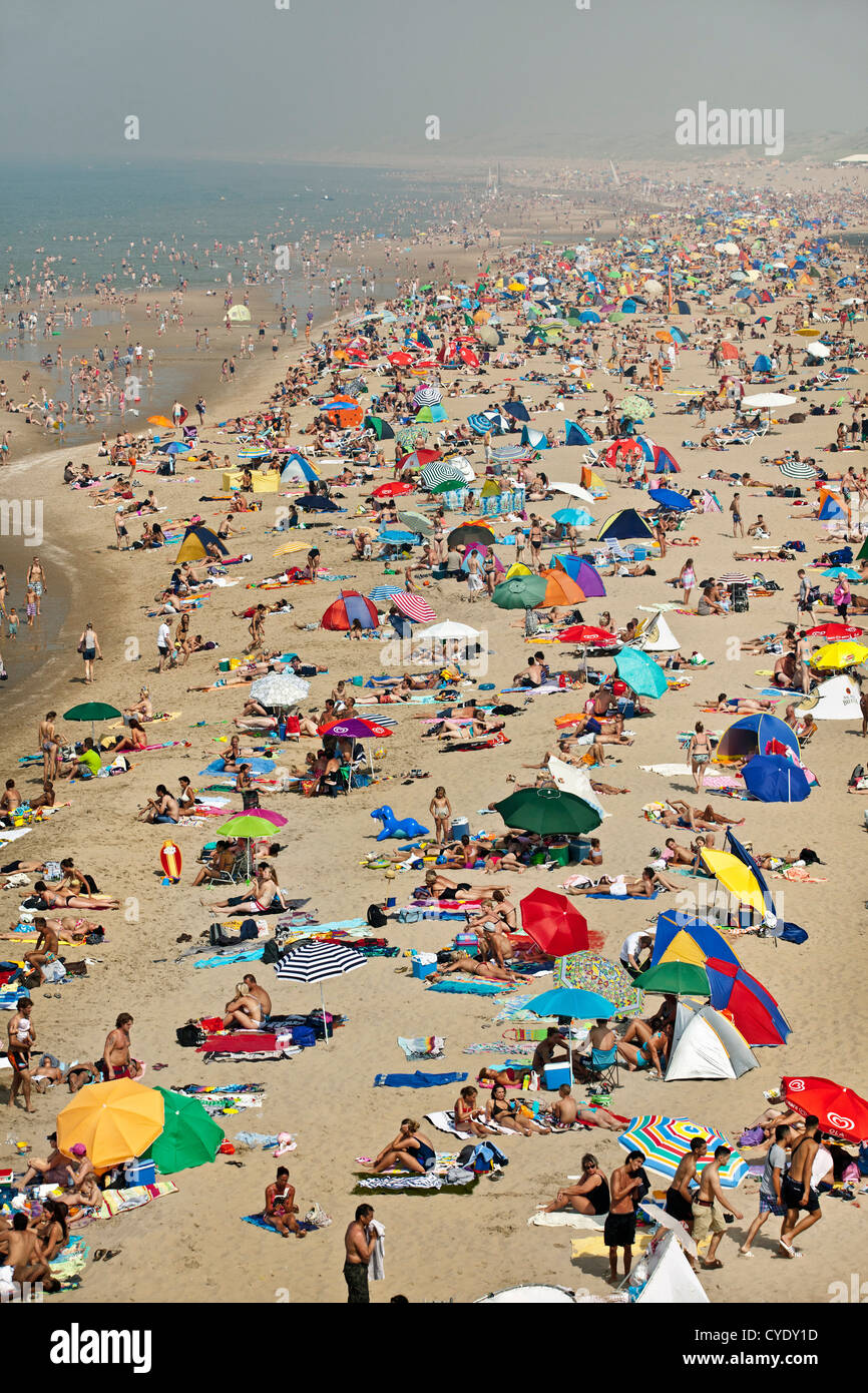 Les Pays-Bas, Scheveningen, près de La Haye ou en néerlandais : Den Haag. Les gens en train de bronzer sur la plage. L'été. Aerial Banque D'Images