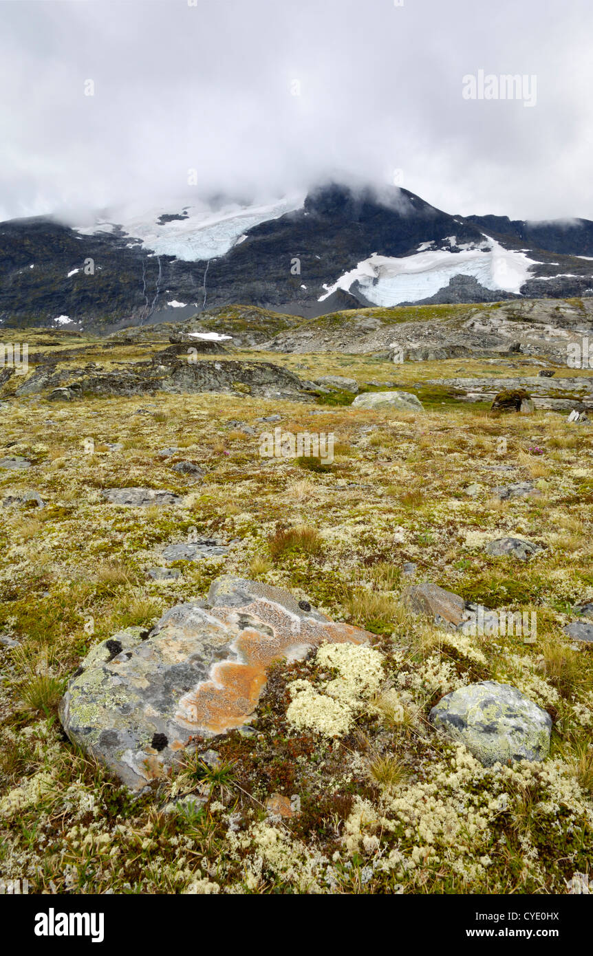 Les montagnes de Jotunheimen, près de l'Hervassbu, Sogn og Fjordane, Norvège Banque D'Images