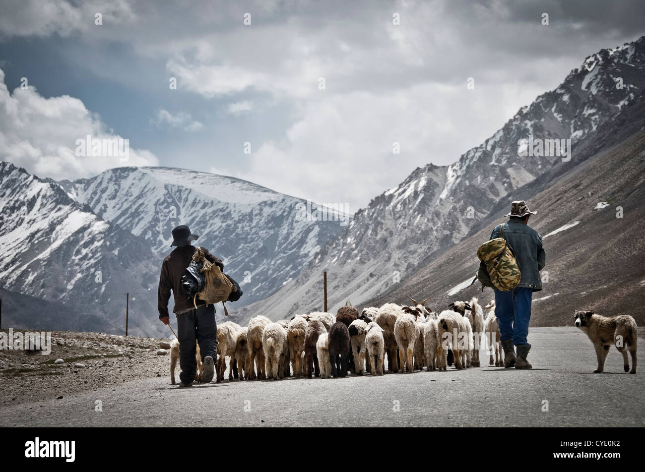 Bergers dans Jelandy, au Tadjikistan. Banque D'Images