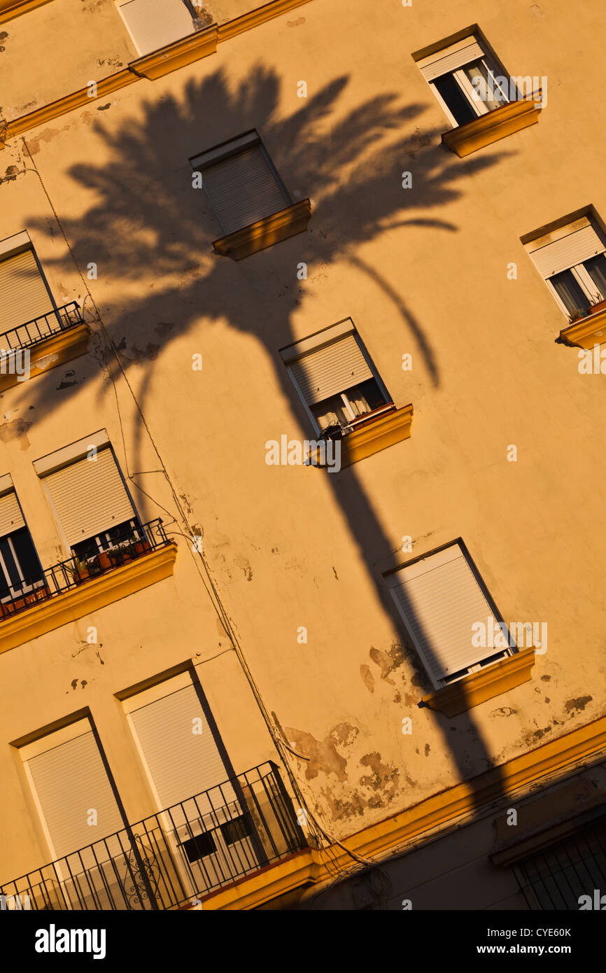 Espagne, Andalousie, Cadix Région Province, Cadix, Campo del Sur, sur la construction de l'ombre de palmiers, coucher du soleil Banque D'Images