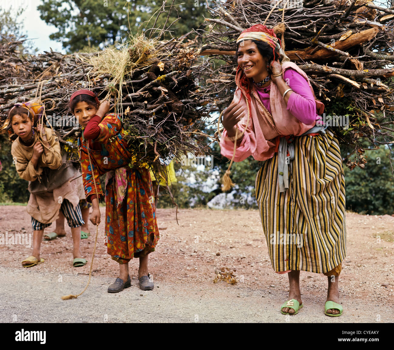 8393. Femme et filles avec le bois, Haut Atlas, Maroc Banque D'Images