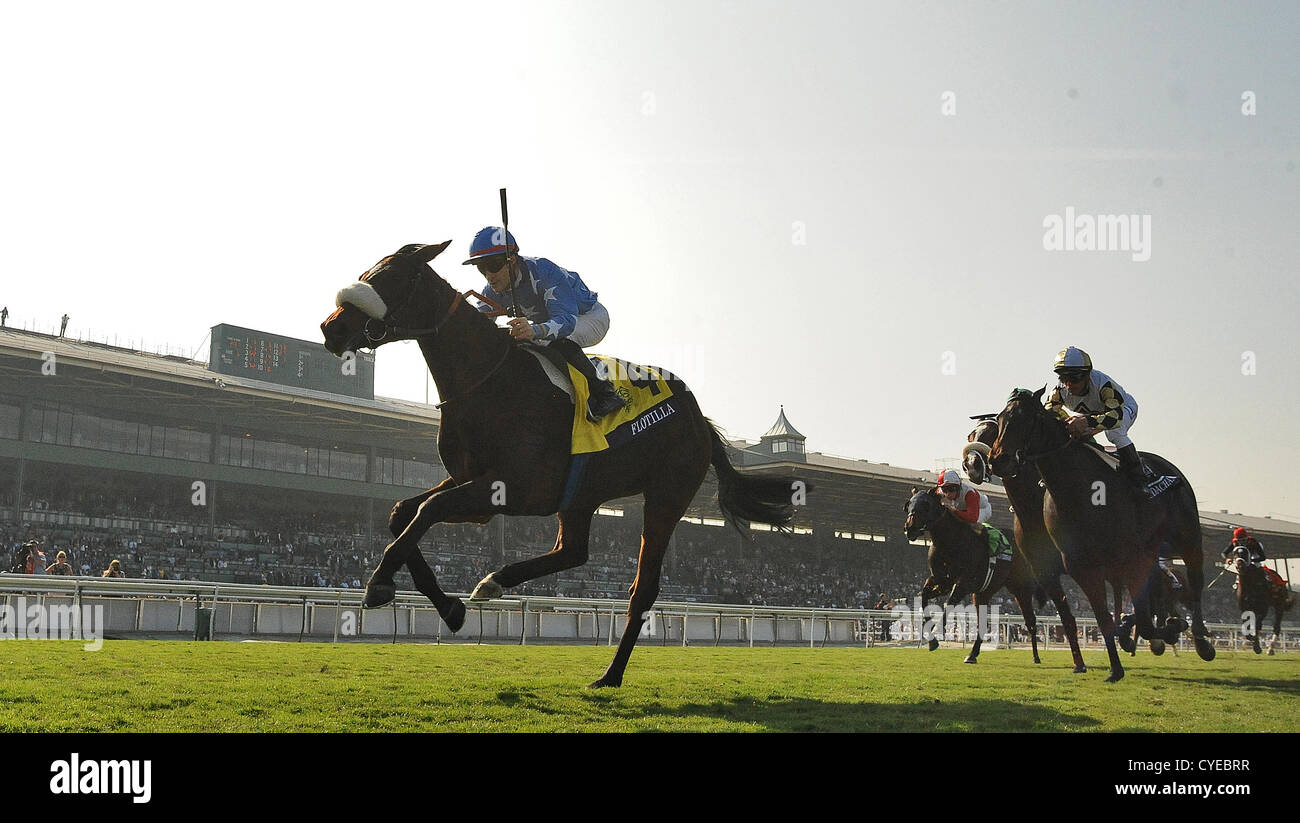 2 novembre 2012 - Arcadia, Californie, États-Unis - FLOTTILLE, monté par Christophe Lemaire et formés par Mikel Delzangles, gagne la Breeders' Cup Turf pouliches juvénile à Santa Anita Park à Arcadia, Californie le 2 novembre 2012. (Crédit Image : © Bob Mayberger ZUMAPRESS.com)/Eclipse/ Banque D'Images