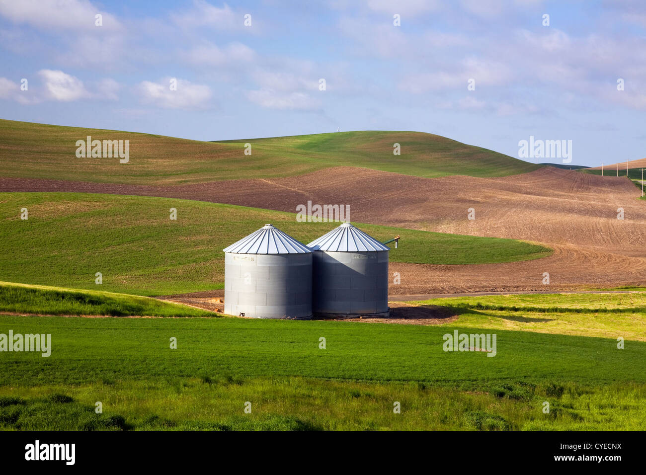WA05485-00...WASHINGTON - Les silos à grains dans un champ près de Steptoe dans la région de Palouse agricole. Banque D'Images