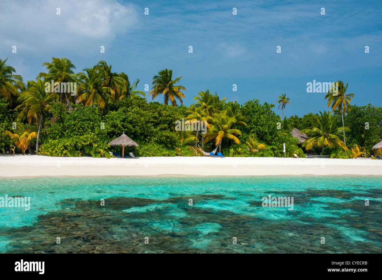 Belle plage de sable blanc et lagon bleu, Maldives Banque D'Images