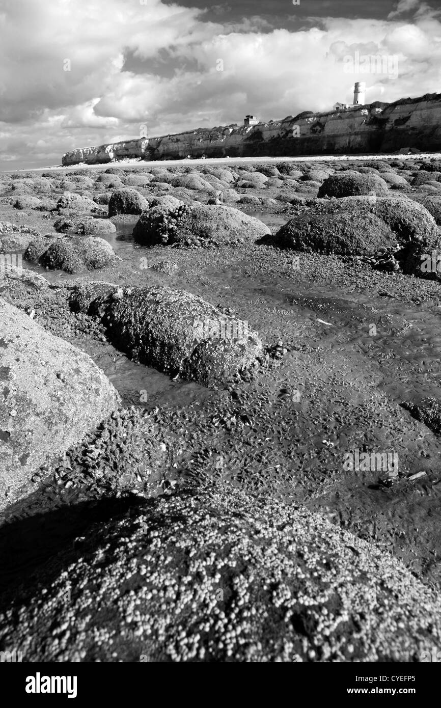 Ligne de rochers des falaises avant le phare Banque D'Images