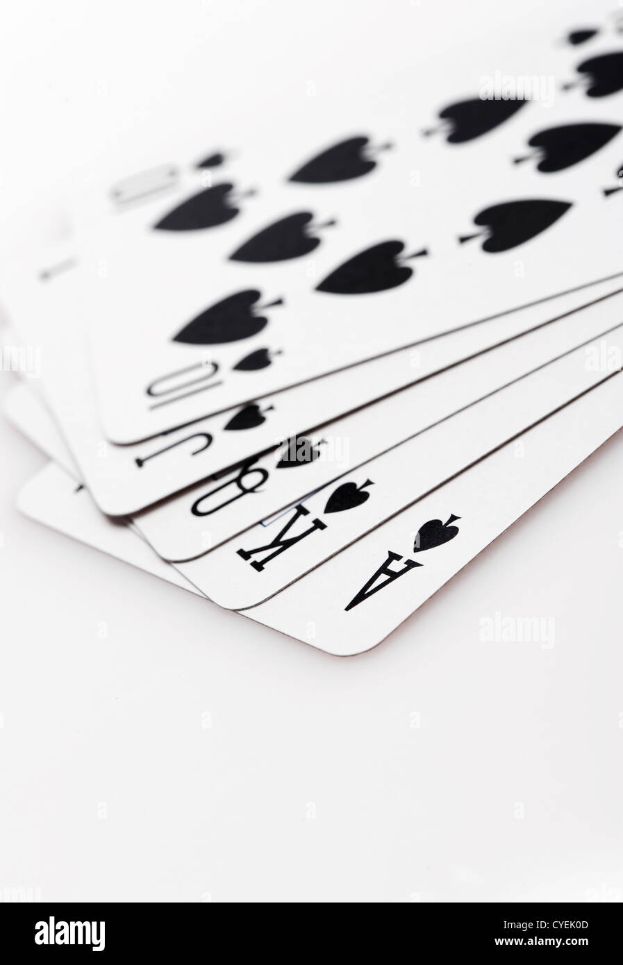 Royal flush de chat sur fond blanc Banque D'Images