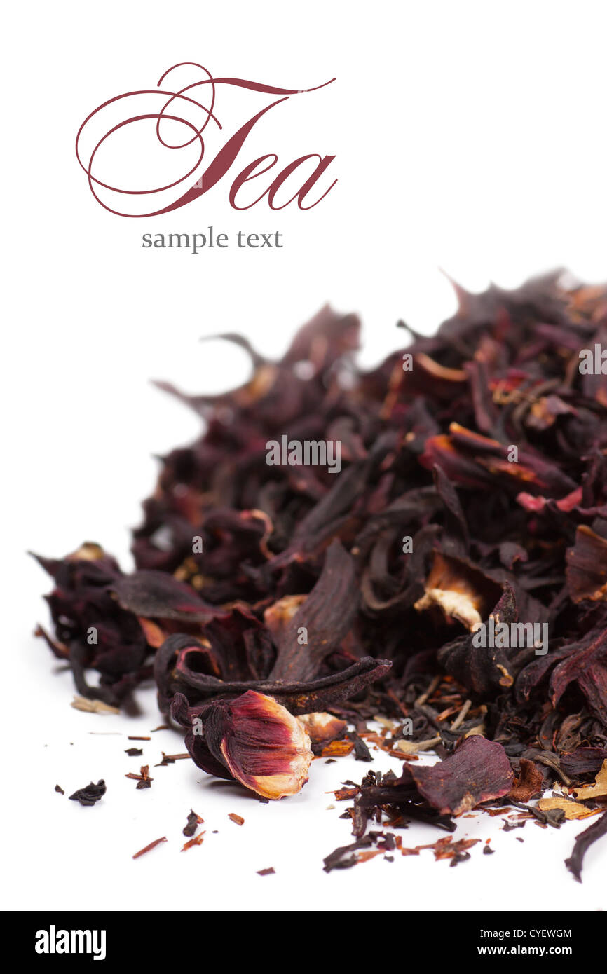 Fleur de thé Banque D'Images