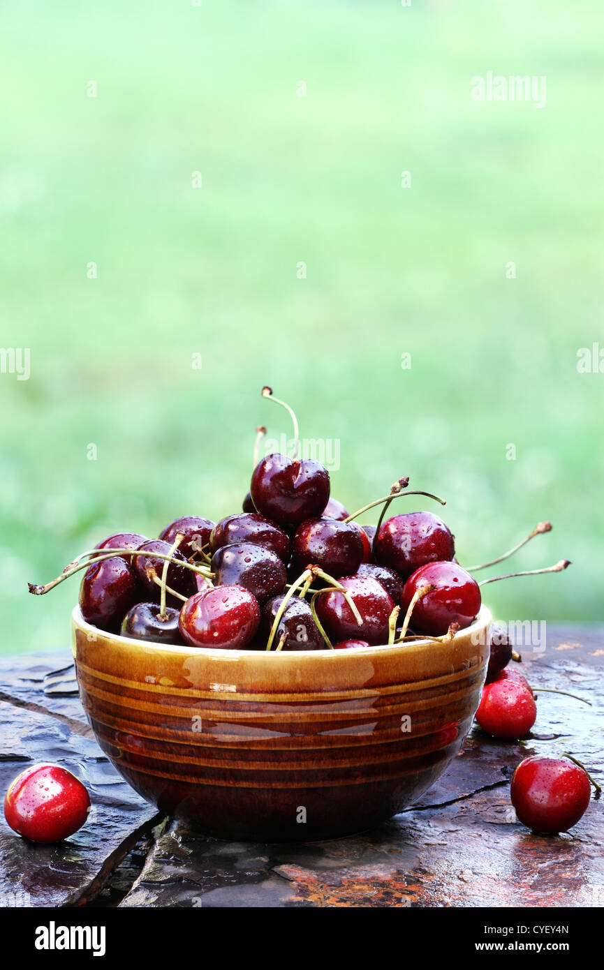 Bol de cerises noires avec des tiges avec copie espace disponible. Banque D'Images