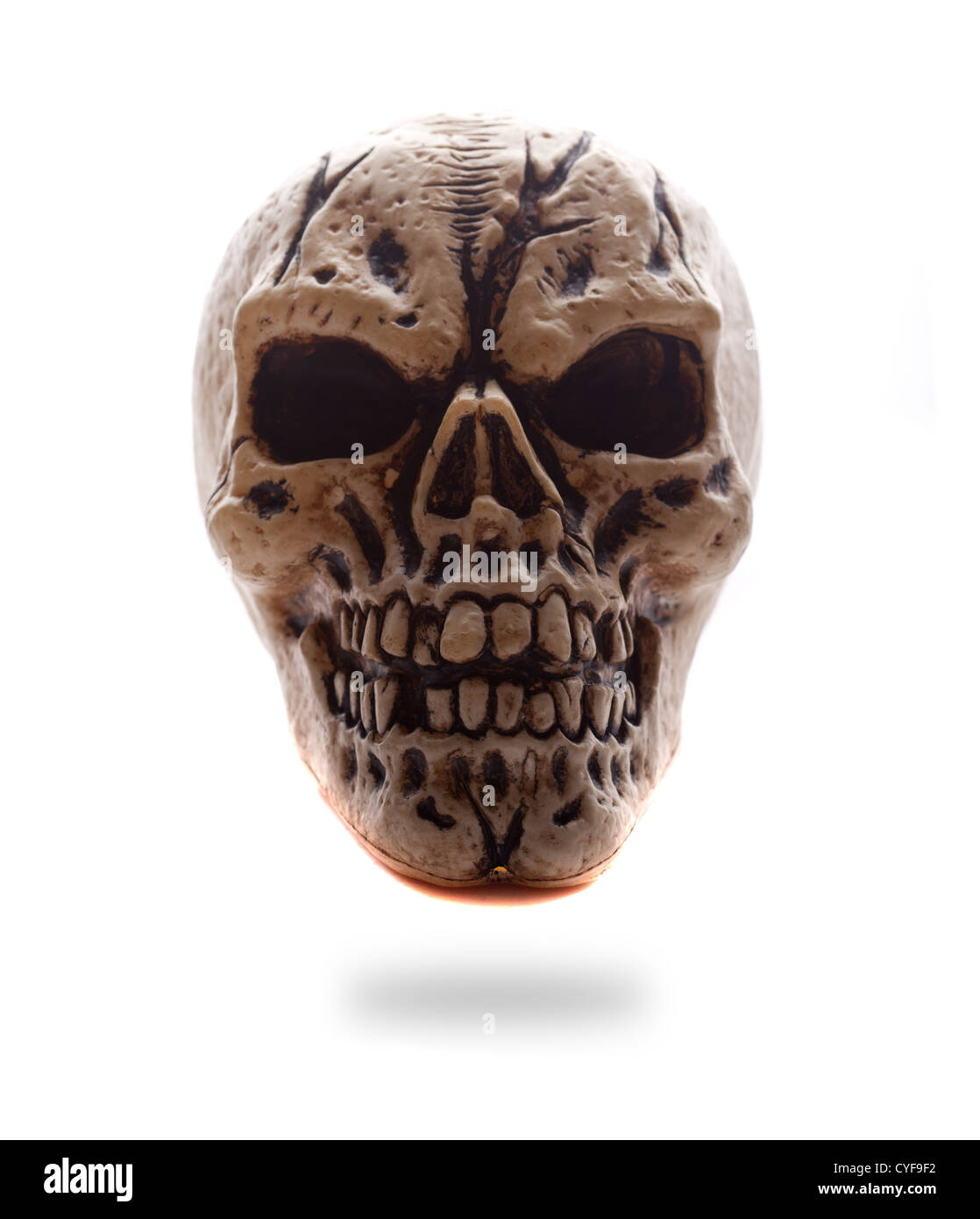 Vue frontale d'une copie d'un crâne humain avec des yeux sombres sur fond blanc, rétroéclairé studio image d'horreur et de concepts d'halloween Banque D'Images