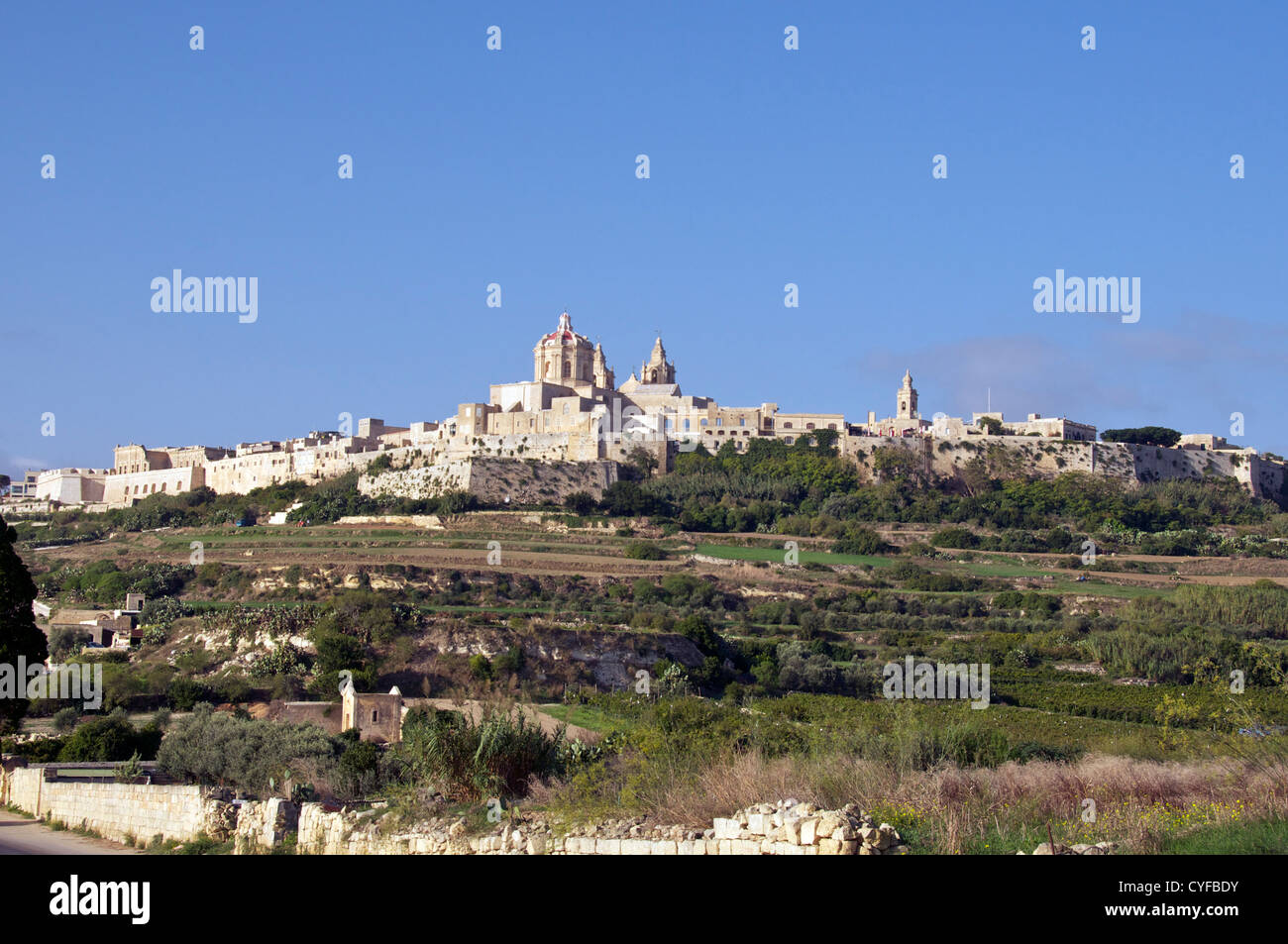 Vue panoramique sur une colline de Mdina Malte Banque D'Images