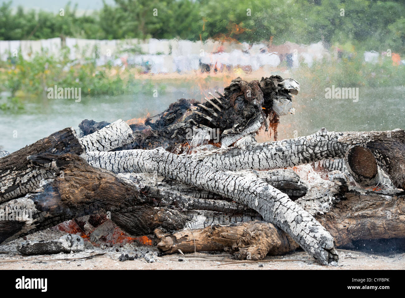 Cremating un corps humain sur un bûcher funéraire hindoue nesxt à une rivière. L'Andhra Pradesh, Inde Banque D'Images Cremating un corps humain sur un bûcher funéraire hindoue nesxt à une rivière. L'Andhra Pradesh, Inde Banque D'Images