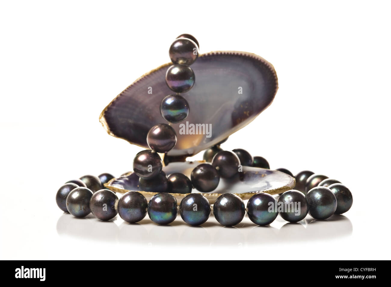 Chaîne de perles noires dans un coquillage on white Banque D'Images
