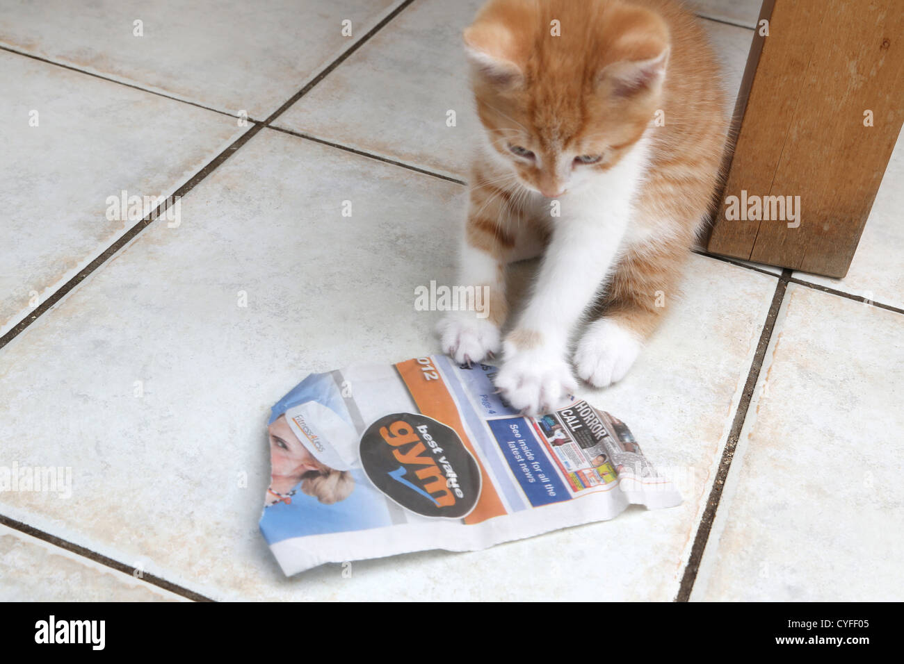 Le gingembre et le chaton blanc jouant avec un morceau de journal déchiré Banque D'Images