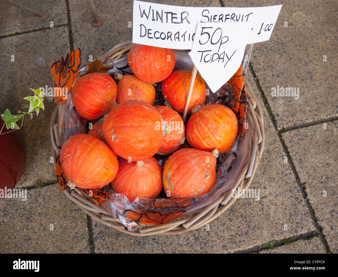 Sierfruit d'hiver d'origine néerlandaise à vendre à North Yorkshire UK pour prix décoration d'intérieur préservé Squash Oignon Banque D'Images