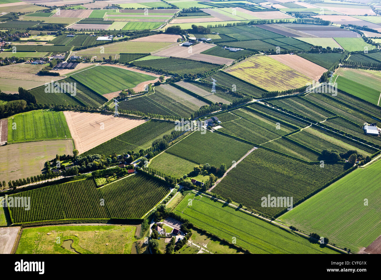 Les Pays-Bas, Kloosterzande, Campagne. De fermes et de terres agricoles. Vue aérienne. Banque D'Images