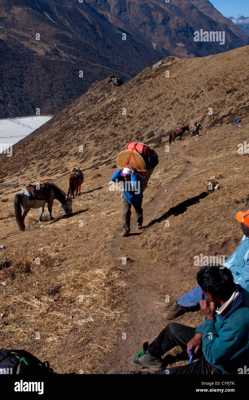 Le mont Everest, Népal Banque D'Images