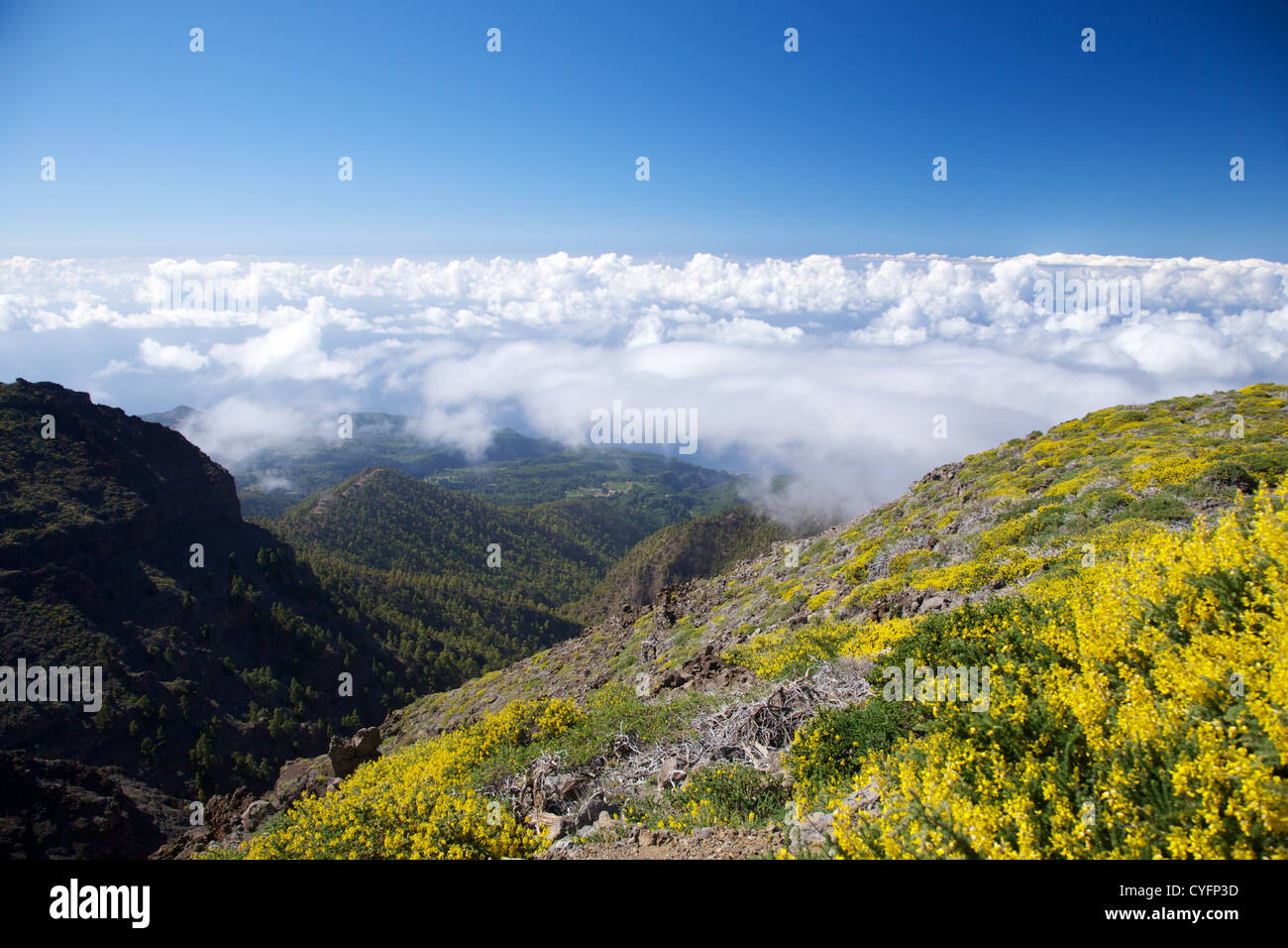Des paysages de La Palma dans les Îles Canaries Espagne Banque D'Images