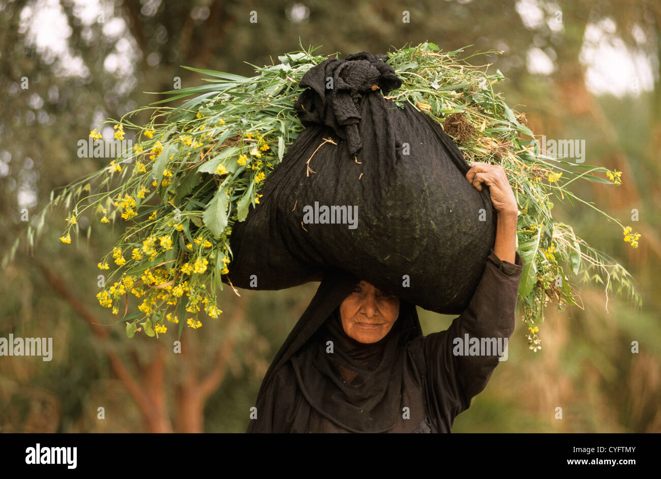 Egypte, Louxor, Nil, Cisjordanie, femme transportant du fourrage pour le bétail Banque D'Images