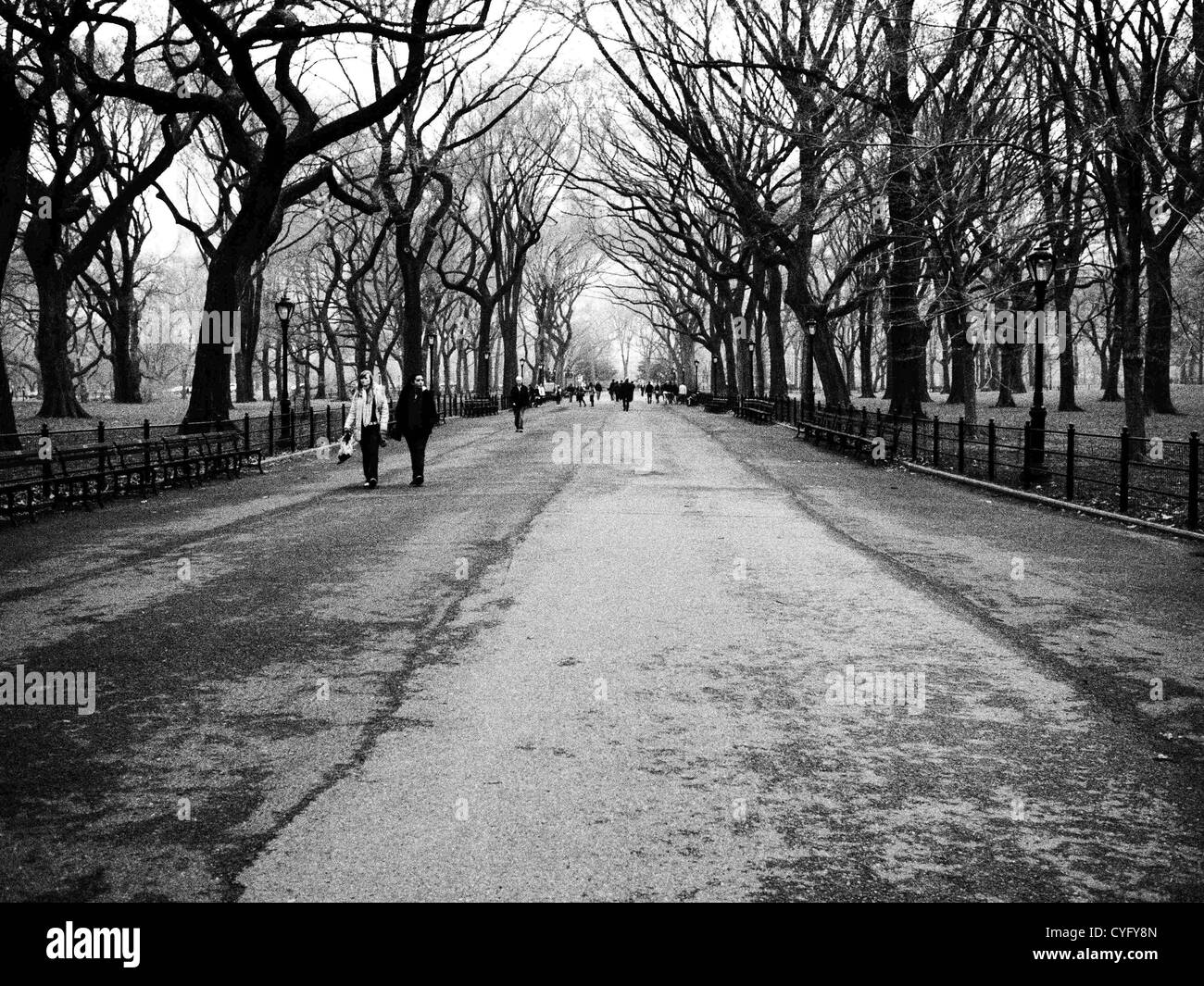 Central Park Banque D'Images
