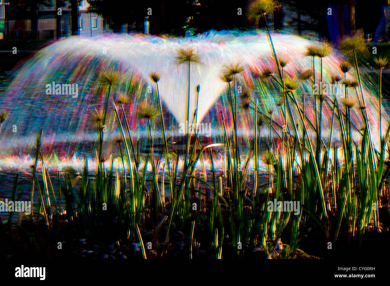 Fontaine à Carlton Gardens photographié avec tri-couleurs, Carlton, Victoria, Australie Banque D'Images