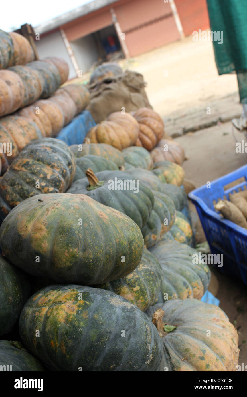 Pumpkins exposés à la vente en magasin de légumes en Inde Banque D'Images