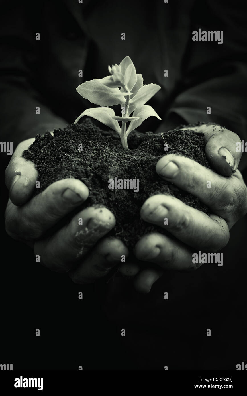 Mains tenant à la nature du sol, la croissance des végétaux concept Banque D'Images