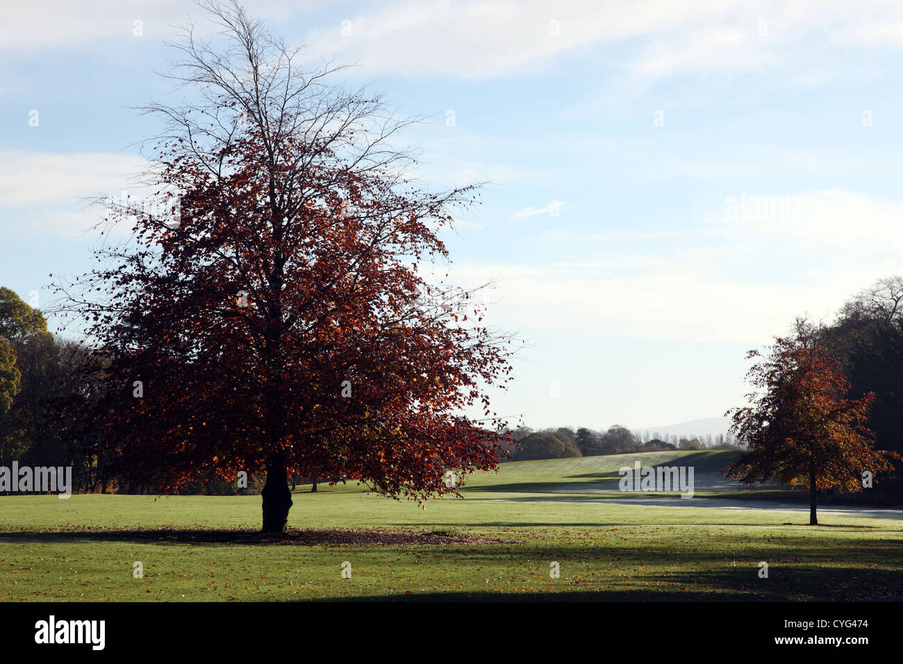 Parc du Château de Kilkenny, matin de novembre Banque D'Images