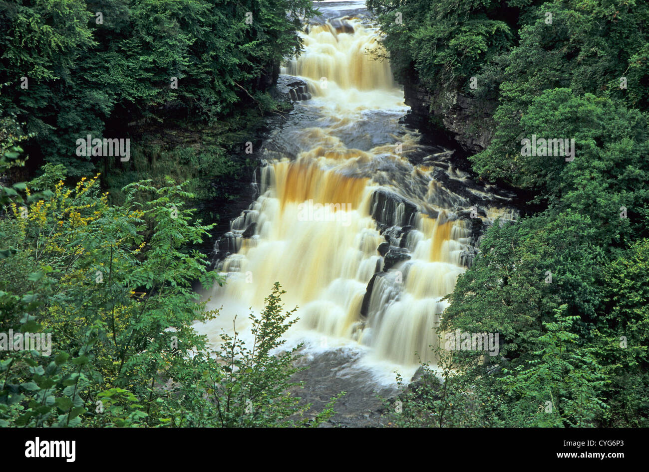 Cascade Corra Linn,Clyde Valley, Ecosse Banque D'Images