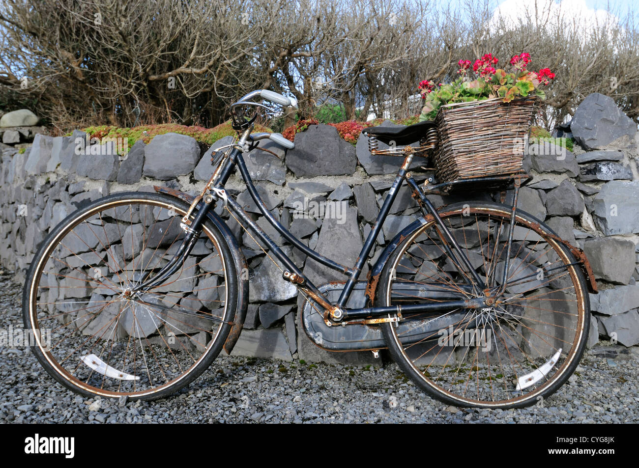 Vieux vélo contre le mur de pierres sèches en osier panier de fleurs fleurs décoration décoratif Banque D'Images