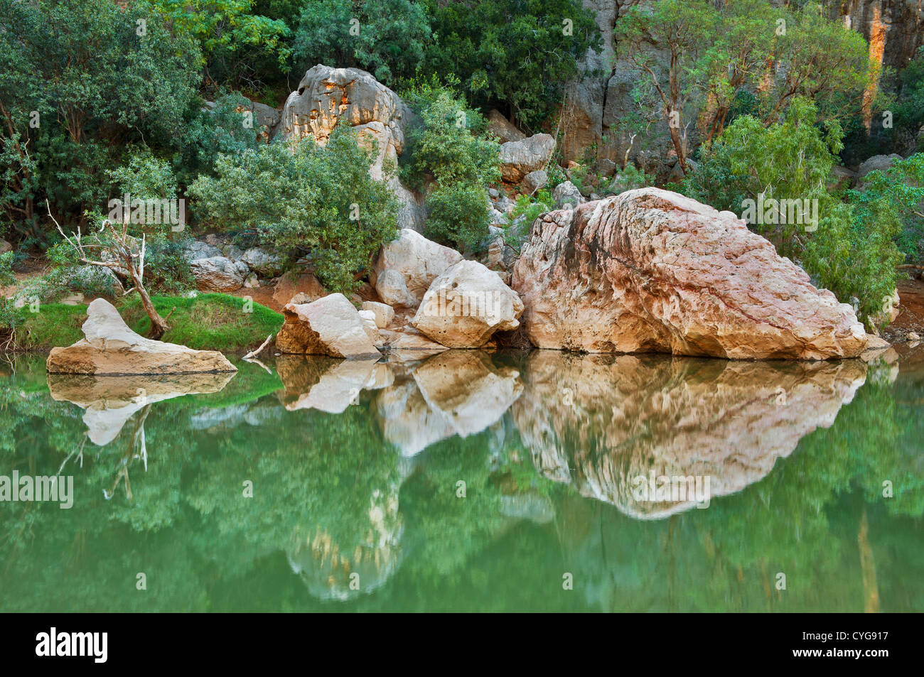 Réflexions sur la rivière Lennard à Windjana Gorge. Banque D'Images