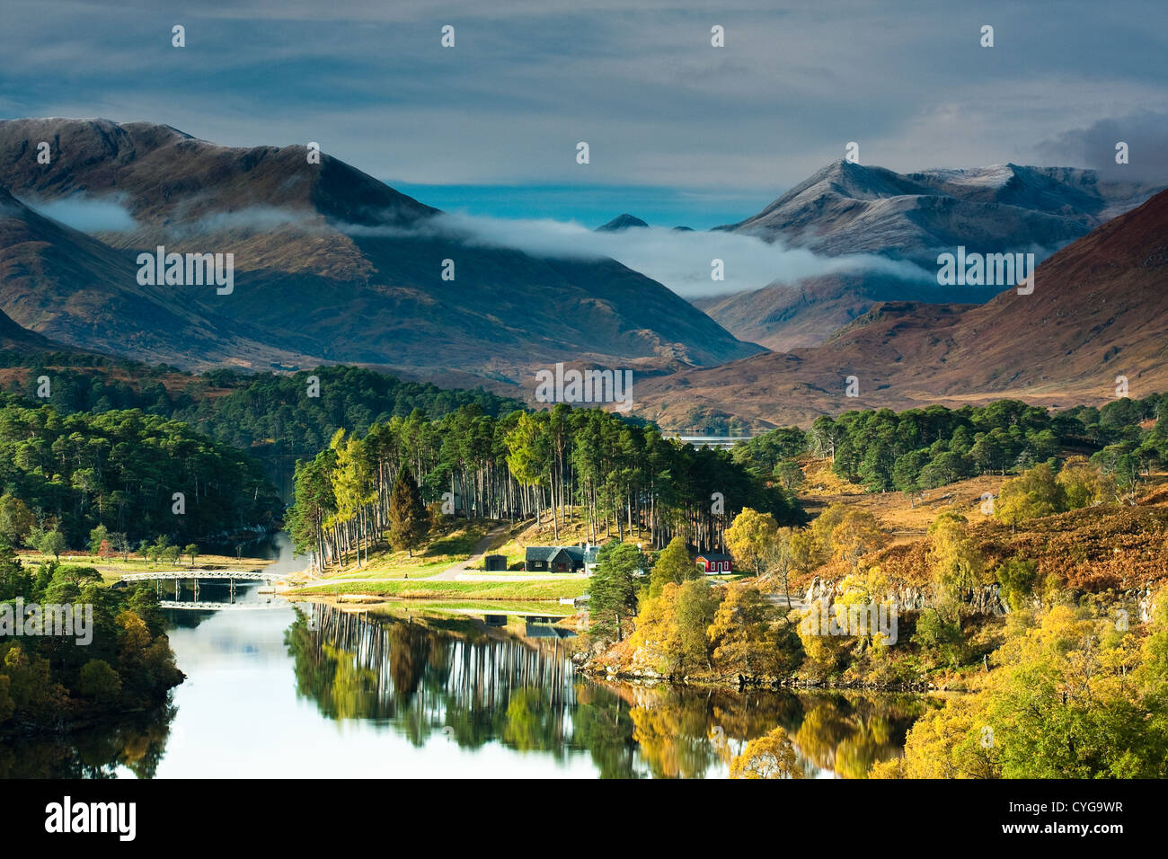 L'automne, Glen Affric, Highland, en Écosse. Banque D'Images