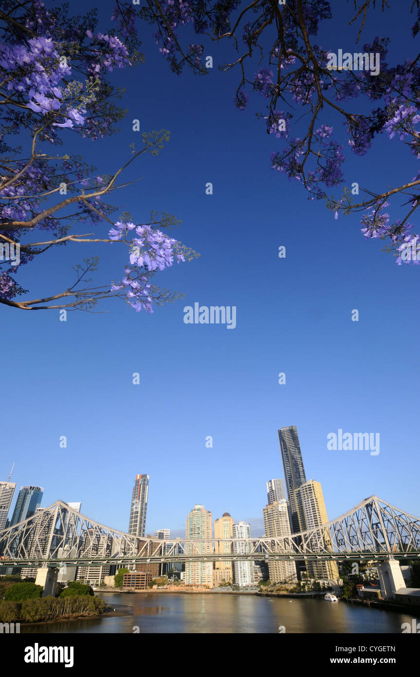 Voir l'histoire du pont et de la Rivière de Brisbane et de la CDB avec la floraison jacarandas au printemps, Queensland, Australie. Pas de PR Banque D'Images
