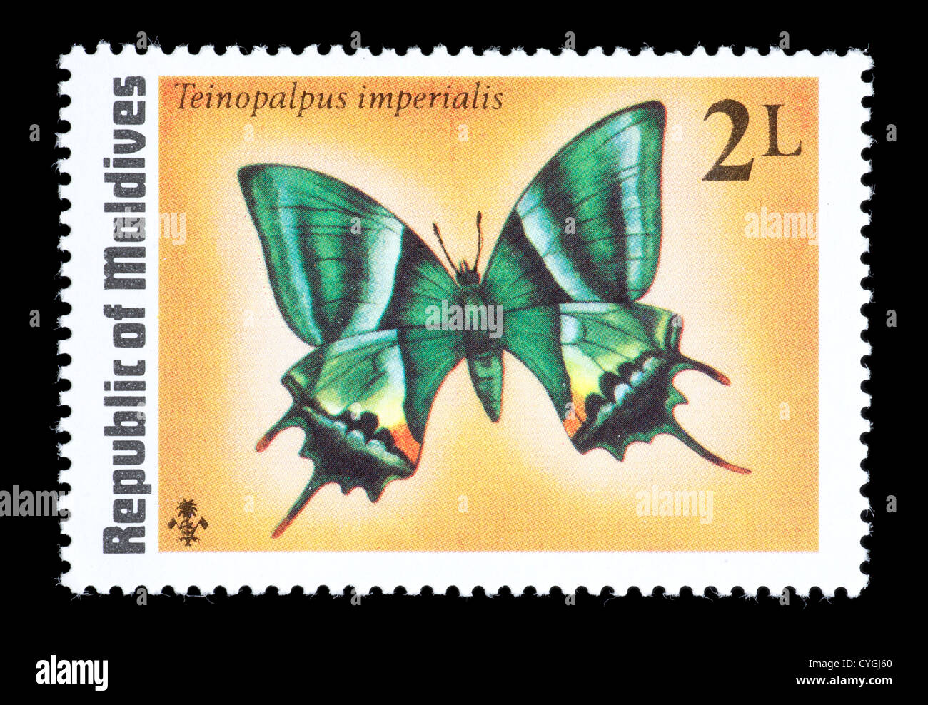 Timbre-poste de la Maldives tropicales représentant un Kaiser-I-Hind butterfly (Teinopalpus imperialis) Banque D'Images