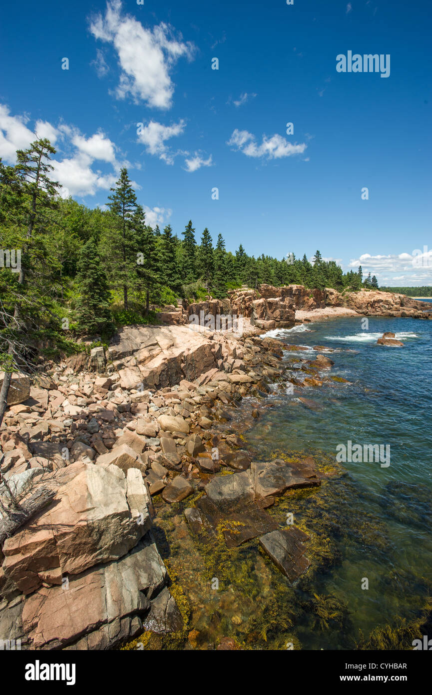 Falaises de roches rouges de l'Acadia National Park, Bar Harbor MOI Banque D'Images