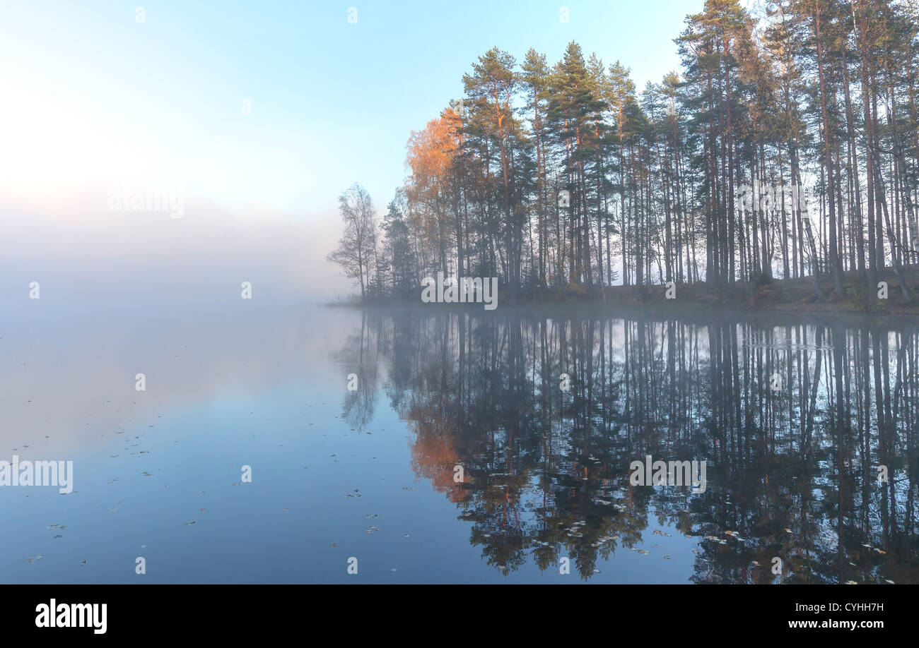 Paysage d'automne lac encore dans le froid matin brumeux Banque D'Images