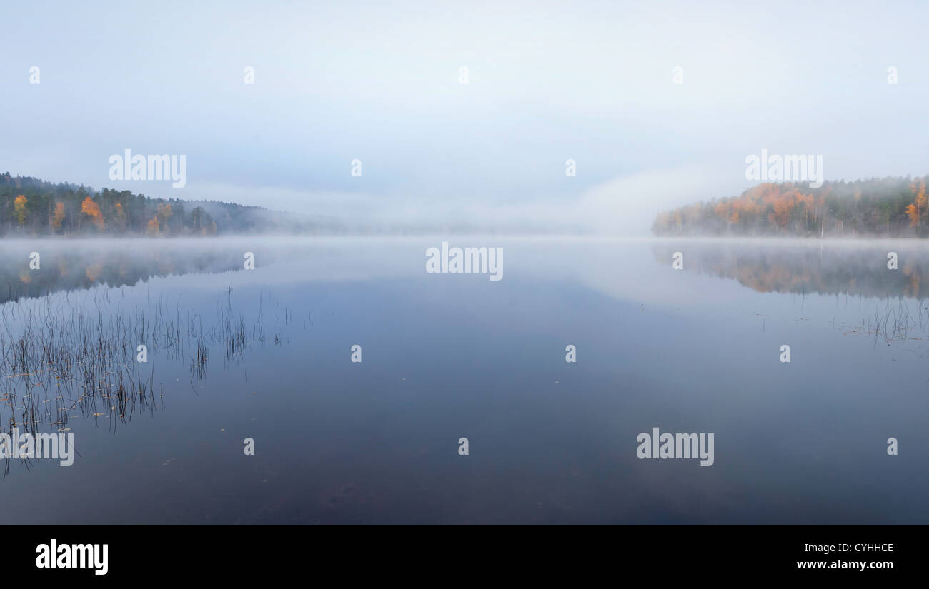 Le lac encore automne paysage panoramique dans le froid matin brumeux Banque D'Images