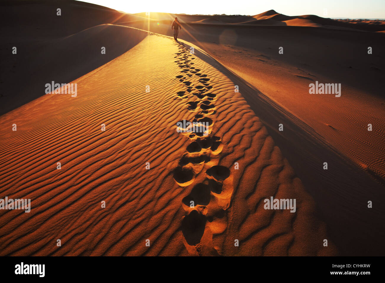 Randonnée pédestre dans le désert de Namib Banque D'Images