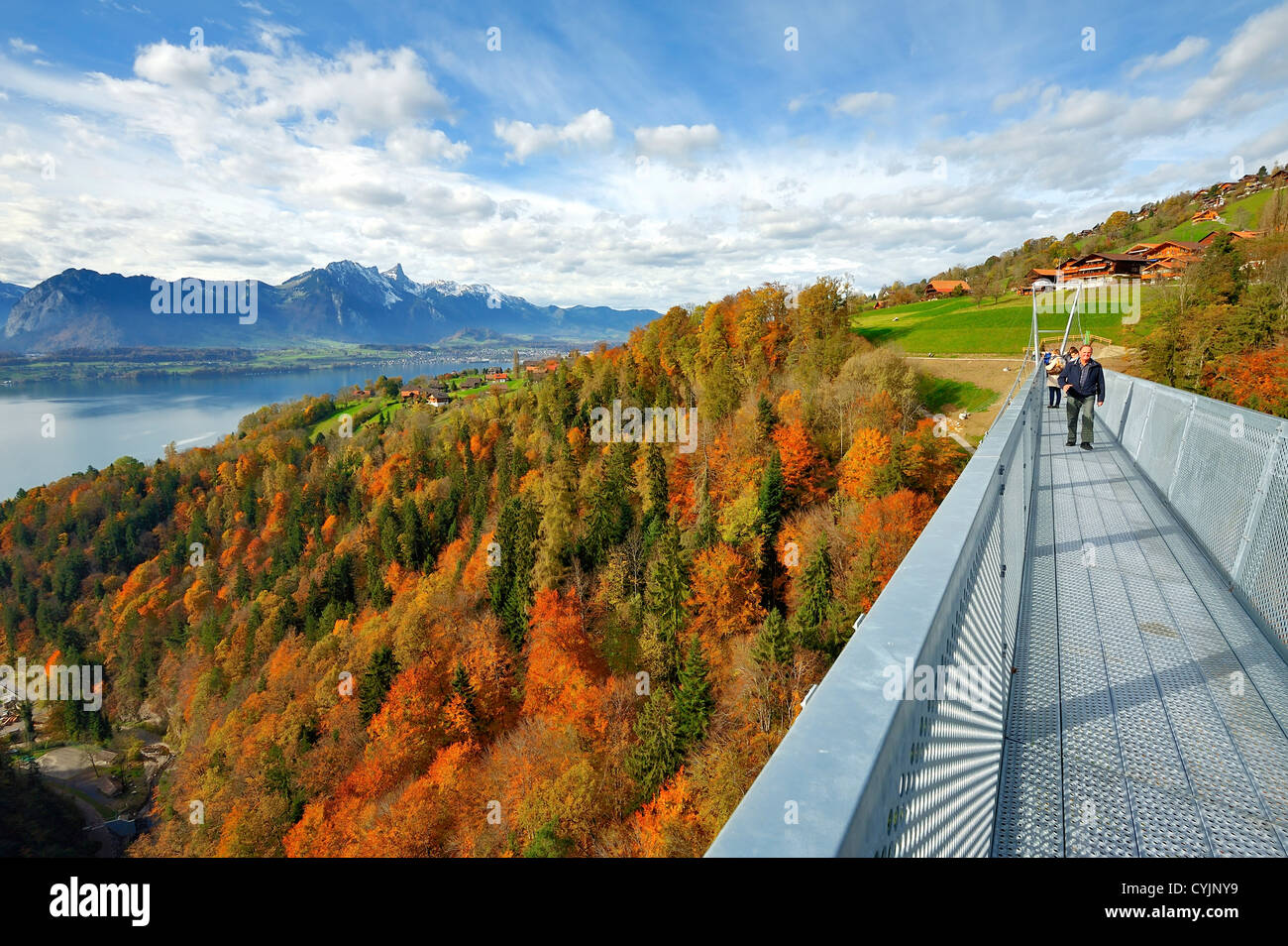 Pont suspendu Panorama à travers le Gummischlucht Gummi (Canyon), Sigriswil, Berne, Suisse Banque D'Images