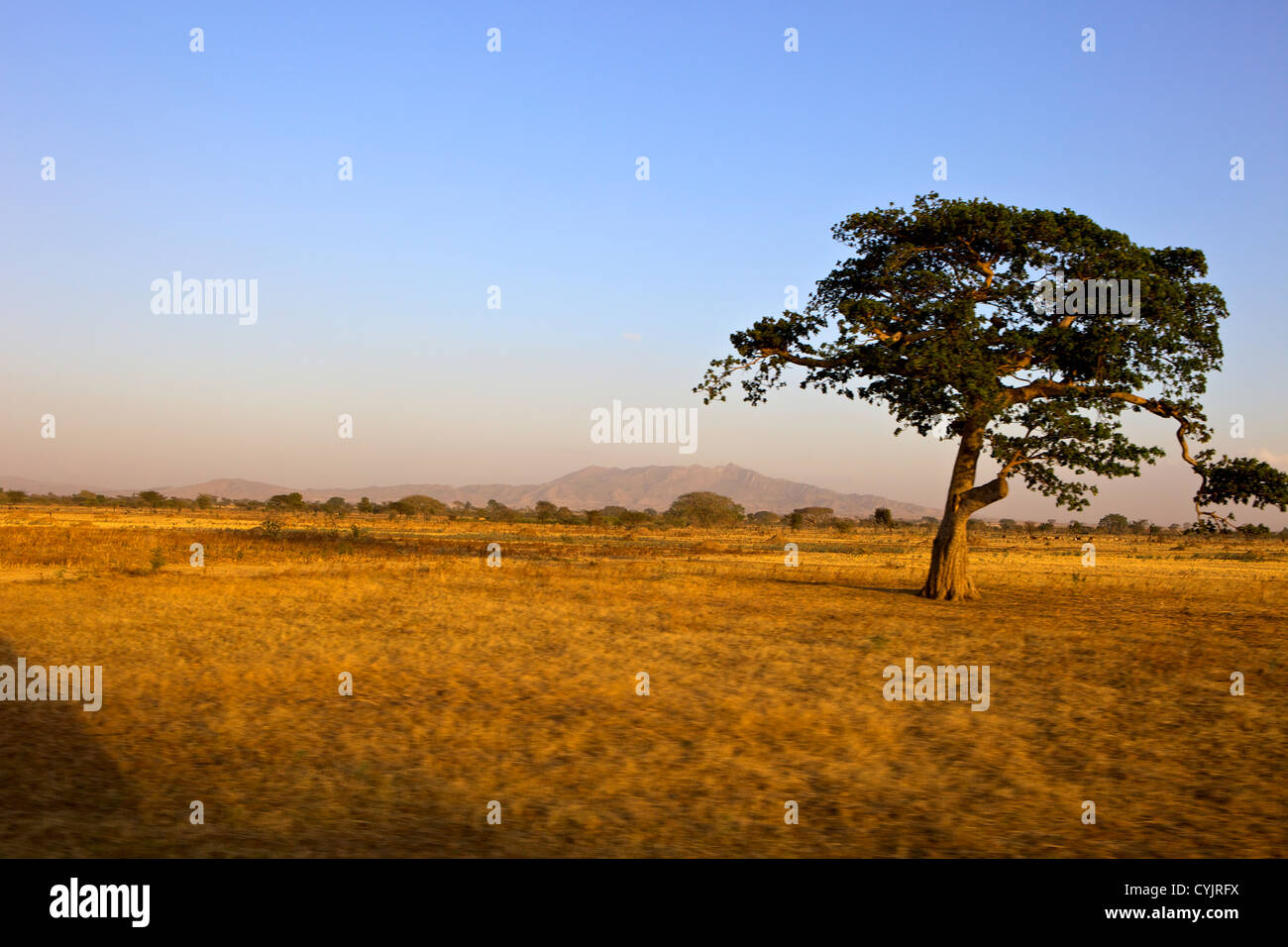 Paysage africain, Kuyera, Ethiopie, Afrique Banque D'Images