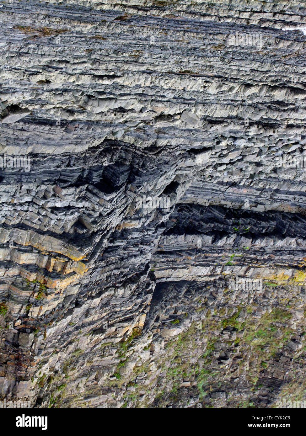 Une vue de la géologie et des pierres à Harland quay Devon Banque D'Images