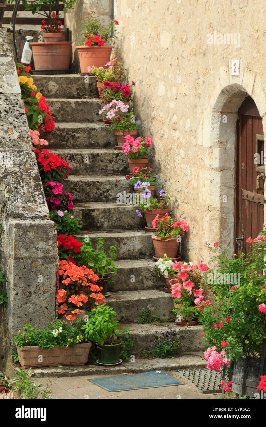 France, Vienne, les Angles-sur-l'Anglin, escalier fleuri Banque D'Images