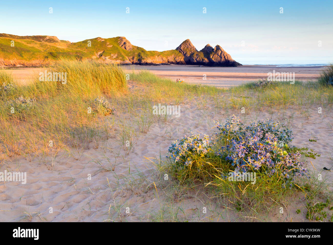 Trois falaises Bay ; Gower ; Pays de Galles ; Royaume-Uni ; Banque D'Images