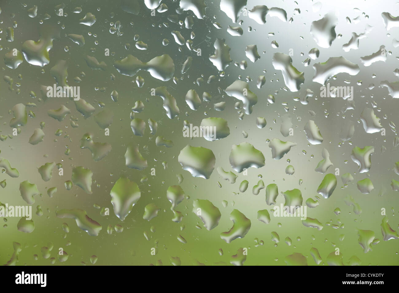WA05260-00...WASHINGTON - les gouttes de pluie sur la fenêtre. Banque D'Images