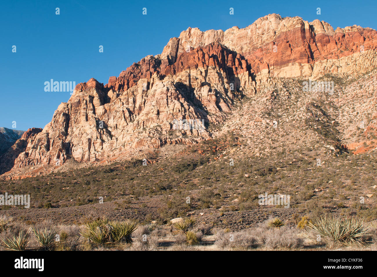 Red Rock Canyon National Conservation Area désert en dehors de Las Vegas, Nevada. Banque D'Images