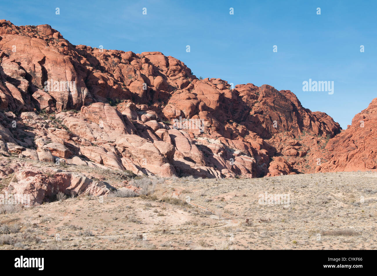 Red Rock Canyon National Conservation Area désert en dehors de Las Vegas, Nevada. Banque D'Images