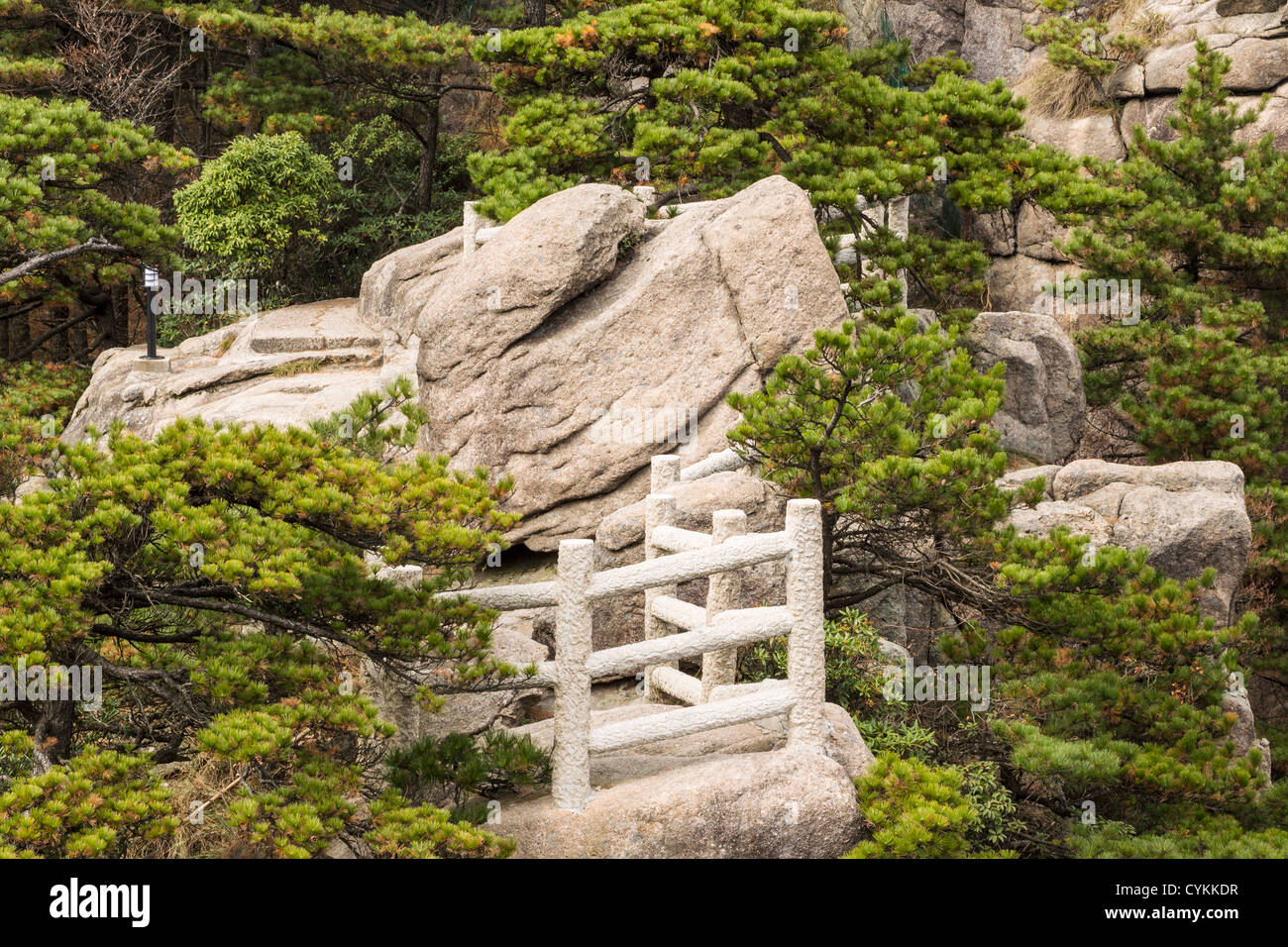 Plate-forme en pierre jaune dans le parc de montagne avec pierres et arbres en arrière-plan Banque D'Images