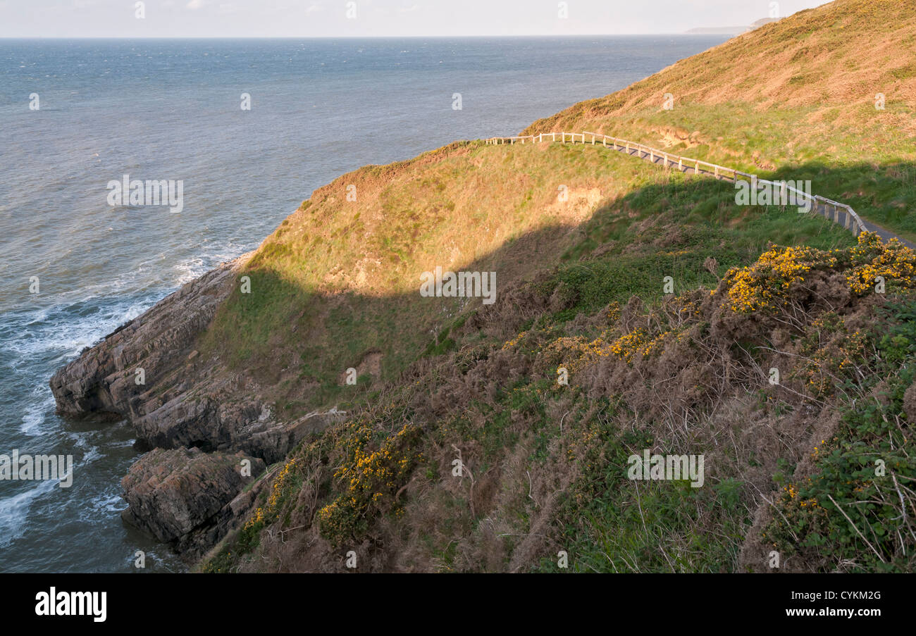 Le Pays de Galles, la péninsule de Gower, marmonne, sentier du littoral Banque D'Images