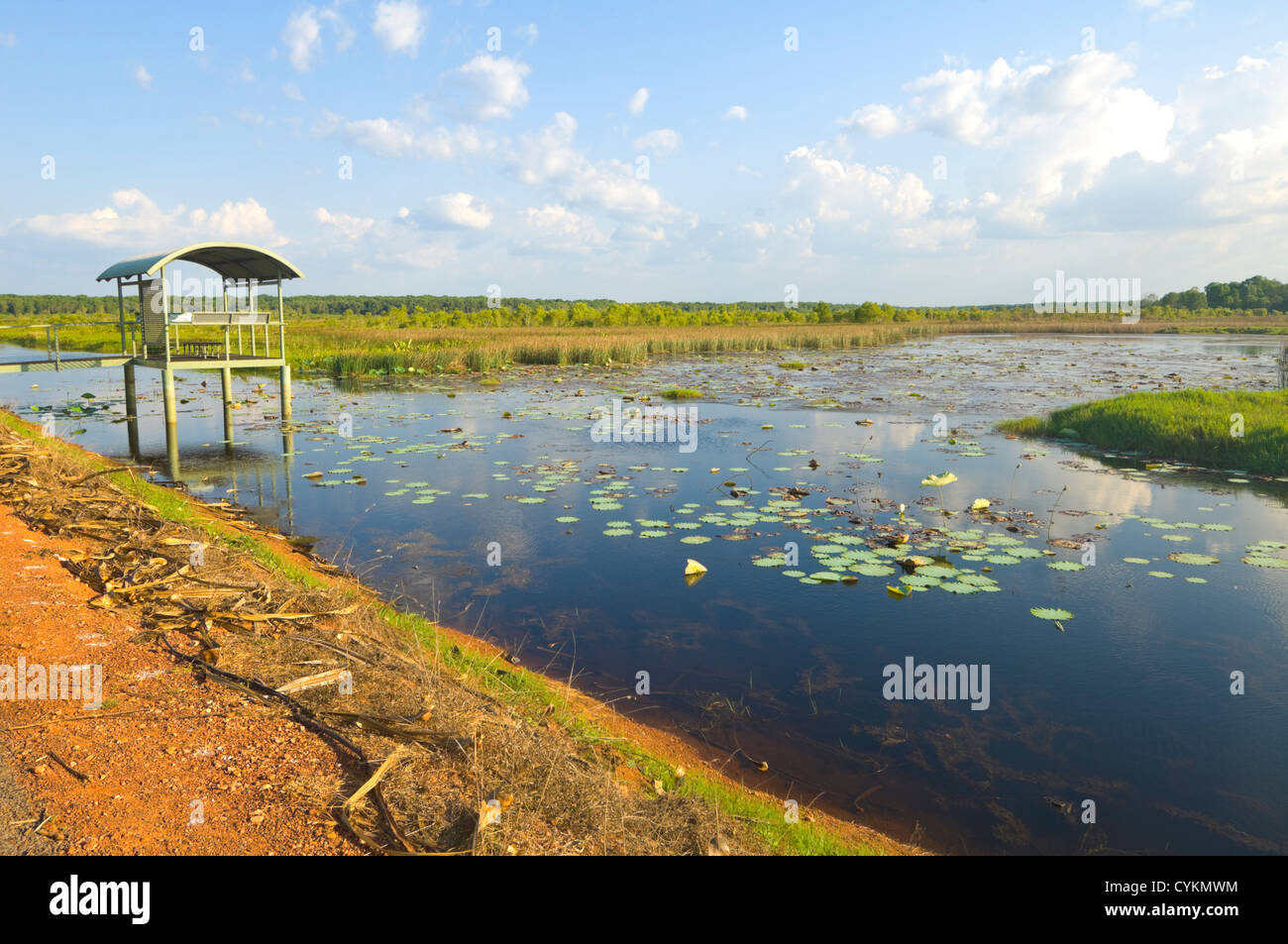 La plate-forme d'observation, Fogg Dam, Territoire du Nord, NT, Australie Banque D'Images