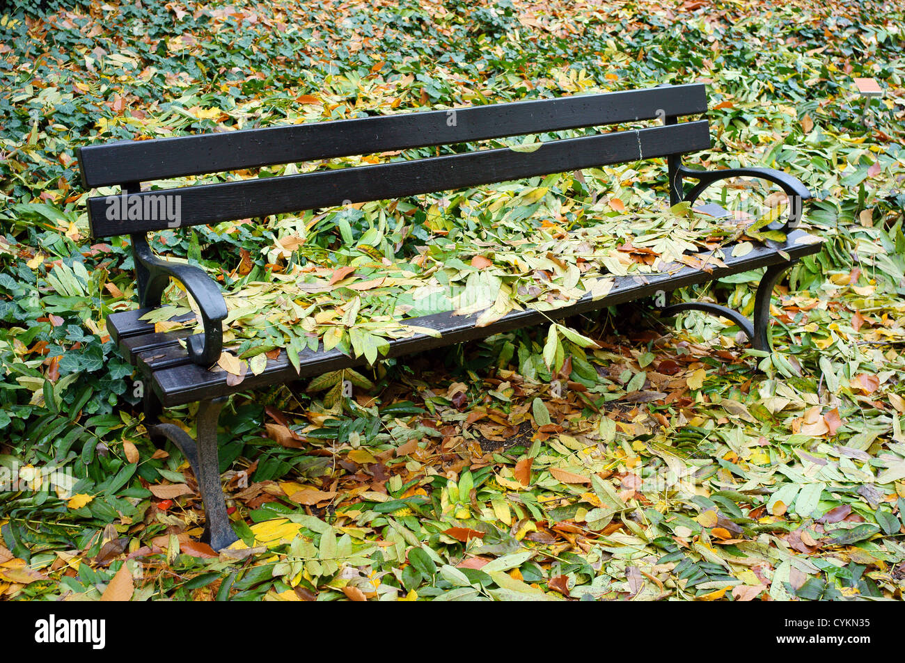 Banc de parc en automne avec les feuilles tombées sur elle et autour Banque D'Images